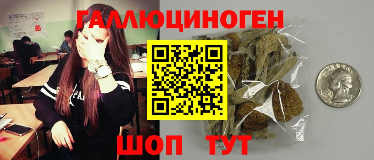 Псилоцибиновые грибы Psilocybine cubensis Армавир